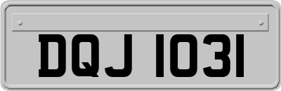 DQJ1031