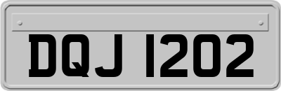 DQJ1202
