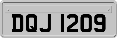 DQJ1209