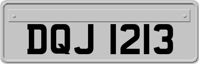 DQJ1213