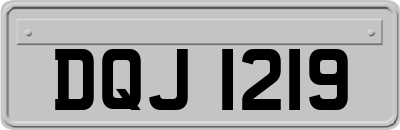 DQJ1219