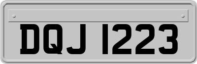 DQJ1223