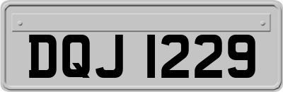 DQJ1229