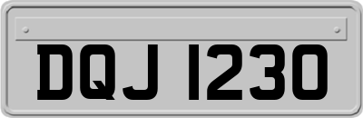 DQJ1230