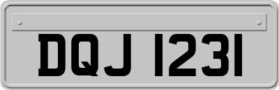 DQJ1231