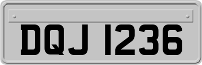 DQJ1236