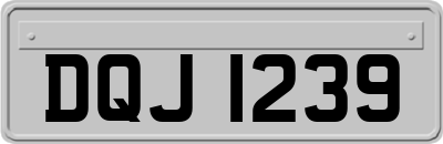 DQJ1239