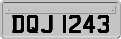 DQJ1243