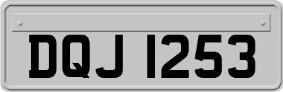 DQJ1253