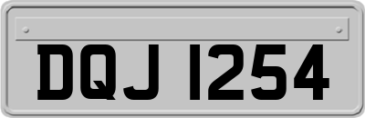 DQJ1254