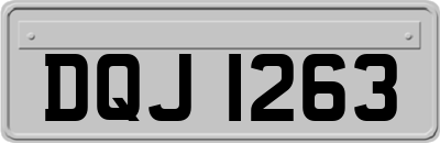 DQJ1263