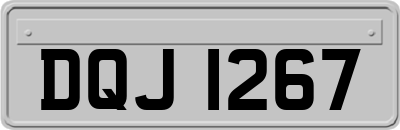 DQJ1267