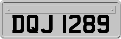 DQJ1289