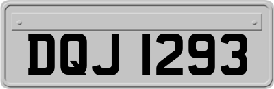 DQJ1293