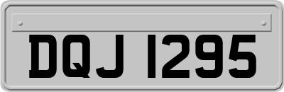 DQJ1295