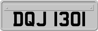 DQJ1301