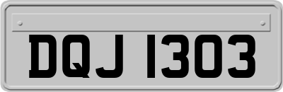 DQJ1303