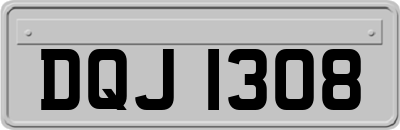 DQJ1308