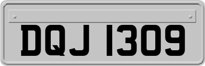 DQJ1309