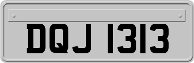 DQJ1313