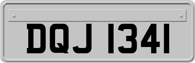 DQJ1341