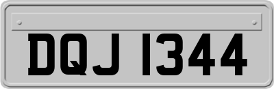 DQJ1344