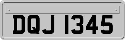 DQJ1345