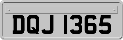 DQJ1365