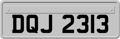 DQJ2313