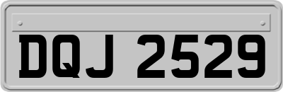 DQJ2529