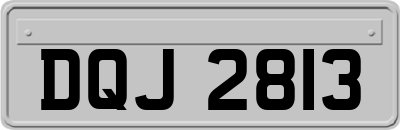 DQJ2813