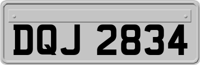 DQJ2834