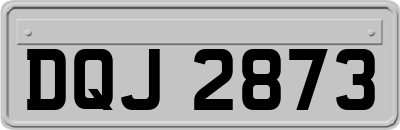DQJ2873