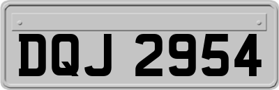 DQJ2954