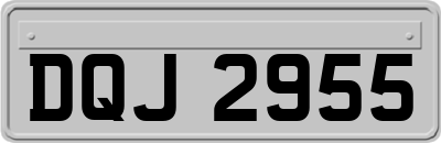 DQJ2955