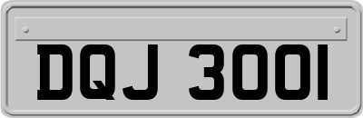 DQJ3001