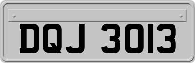DQJ3013