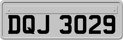 DQJ3029