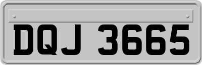 DQJ3665