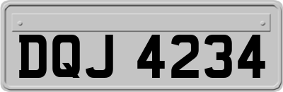 DQJ4234