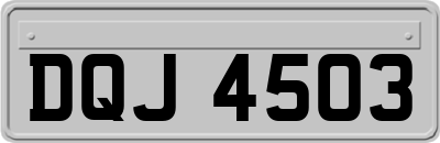 DQJ4503