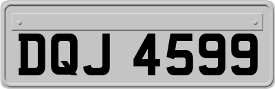 DQJ4599