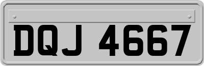 DQJ4667
