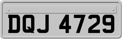 DQJ4729