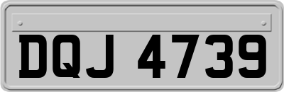 DQJ4739