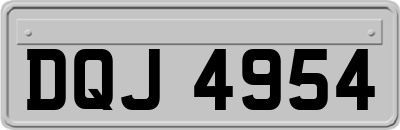 DQJ4954