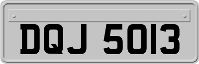 DQJ5013