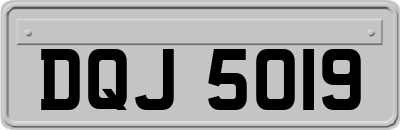 DQJ5019