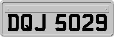 DQJ5029