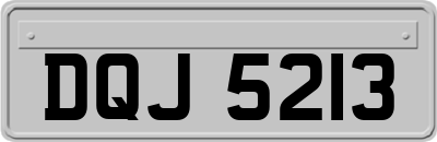 DQJ5213